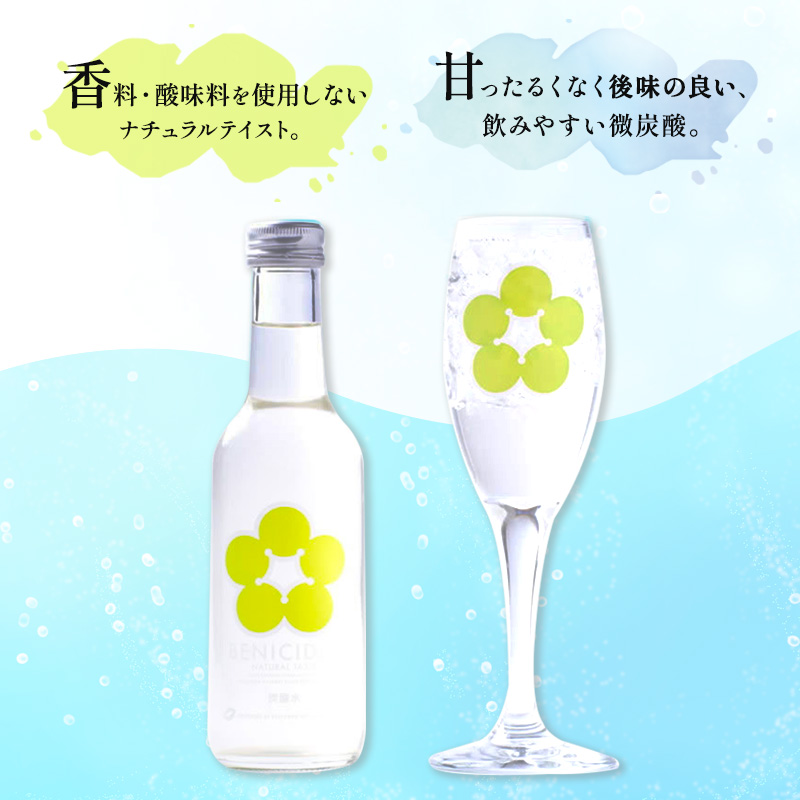 炭酸 高島屋選定品 BENIサイダー 250ml 12本 セット 炭酸飲料 高島屋 飲料 梅サイダー サイダー 紅映 梅 うめ ウメ 福井県 福井 