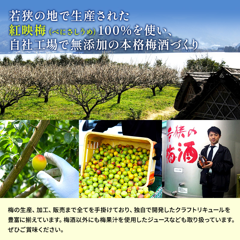 若狭の樽熟成梅酒BENICHU19°（750ml×6本） お酒 洋酒 リキュール 