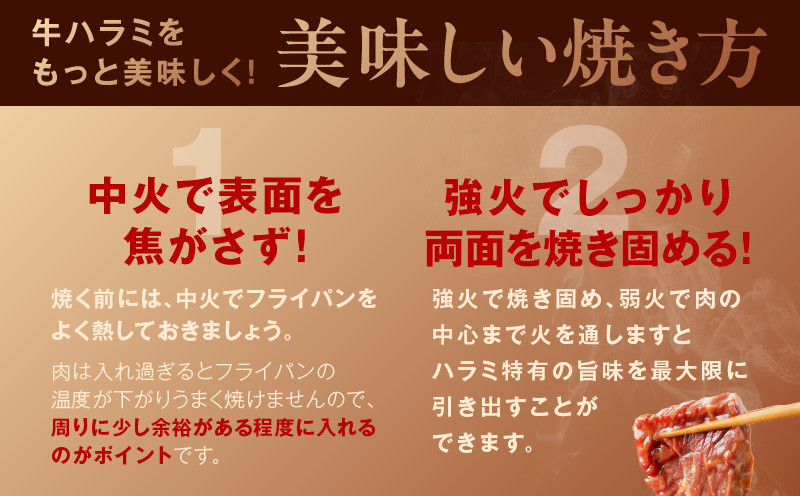 大阪府泉佐野市のふるさと納税 【10/1～寄附額改定】牛ハラミ肉 1.3kg（ハラミ 300g×4P+牛すじ 100g）【1位獲得 秘伝の赤タレ 泉州元気ハラミ 牛肉 はらみ 小分け 焼肉 お弁当 BBQ 訳あり ワケアリ わけあり サイズ不揃い 規格外 TVで話題】 099H3157-1
