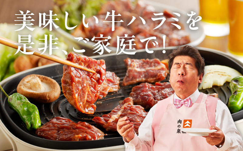 大阪府泉佐野市のふるさと納税 【10/1～寄附額改定】牛ハラミ肉 1.3kg（ハラミ 300g×4P+牛すじ 100g）【1位獲得 秘伝の赤タレ 泉州元気ハラミ 牛肉 はらみ 小分け 焼肉 お弁当 BBQ 訳あり ワケアリ わけあり サイズ不揃い 規格外 TVで話題】 099H3157-1