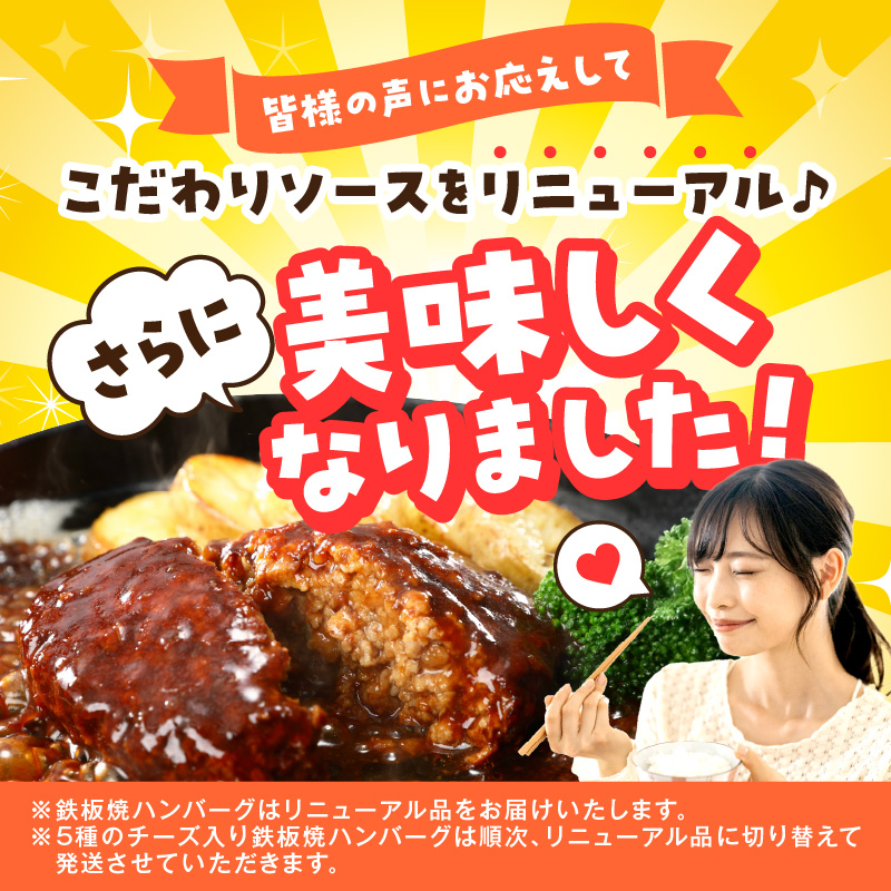 福岡県飯塚市のふるさと納税 デミソースのハンバーグ2種セット（プレーン8個＆チーズ8個）計16個【A6-030】