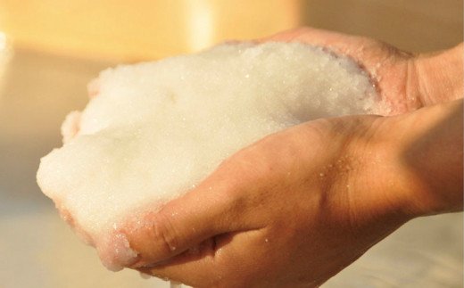 高知県田野町のふるさと納税 【四国一小さなまち】田野屋塩二郎の完全天日塩　幻の塩　万能用　３Kg