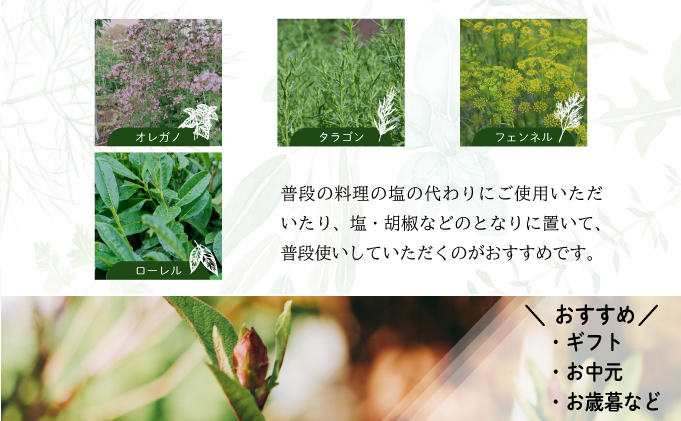限定生産！手摘み生ハーブソルト詰め合わせ