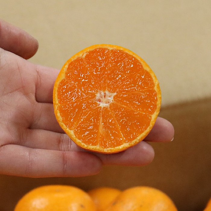 BL6171_【産地直送】和歌山県産 有田みかん 3kg サイズ混合 【訳あり】