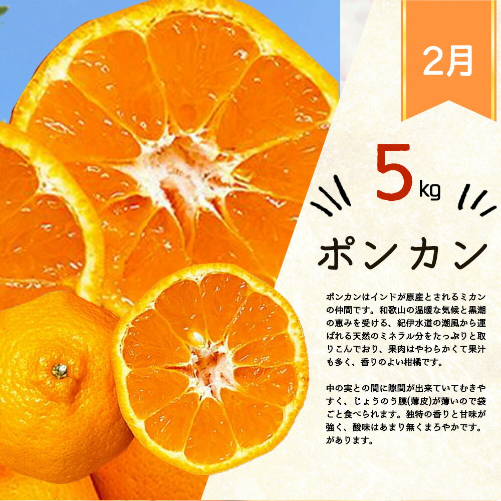 G60-T43_【定期便 全3回】紀州和歌山産 旬の柑橘セット（みかん・ポンカン・紀州デコ）