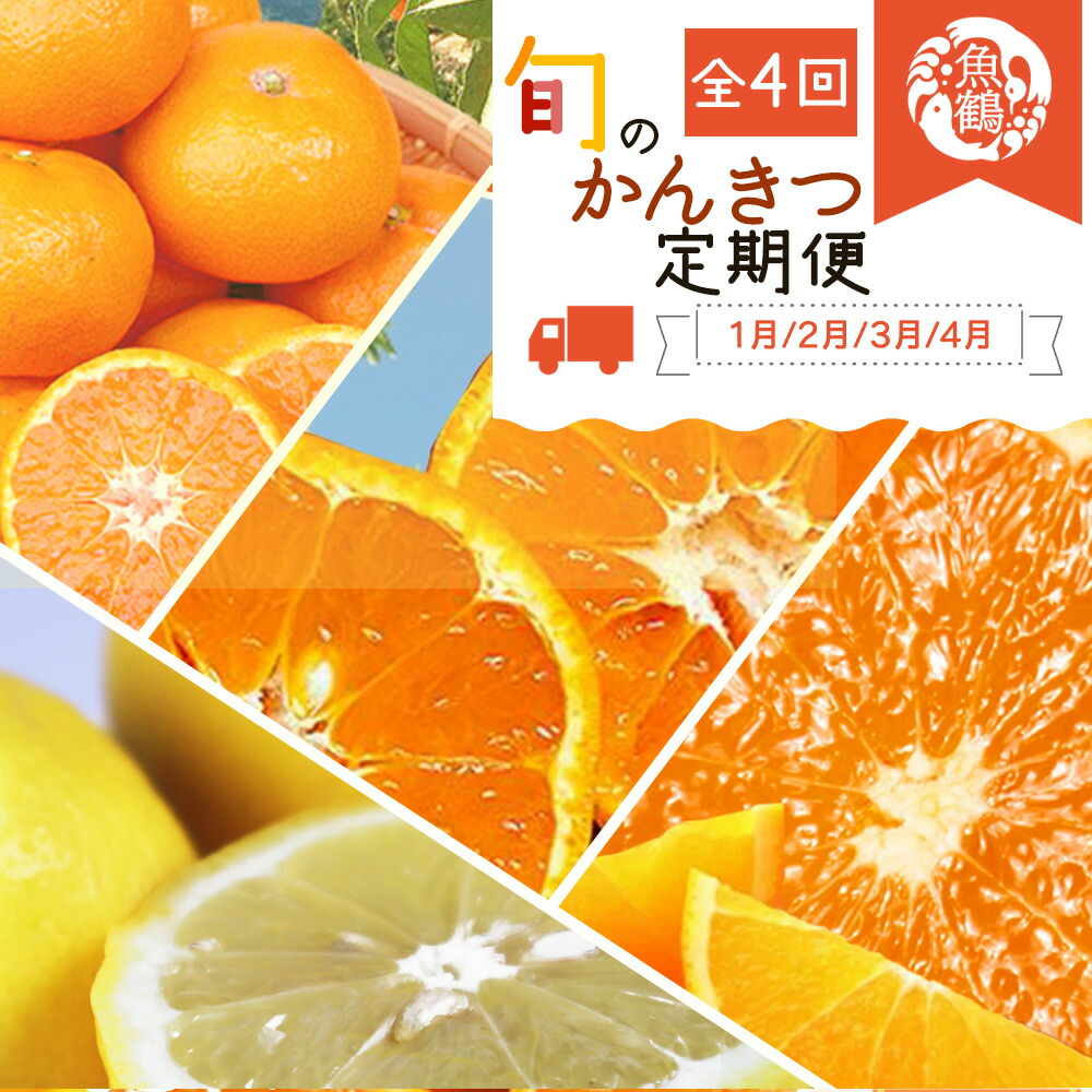 よっちゃん　南柑20号サイズ混合4.5kg×２箱ぐるりん ぽんかん Lサイズ 2．5K | 春 Spring fruits,ぽんかん