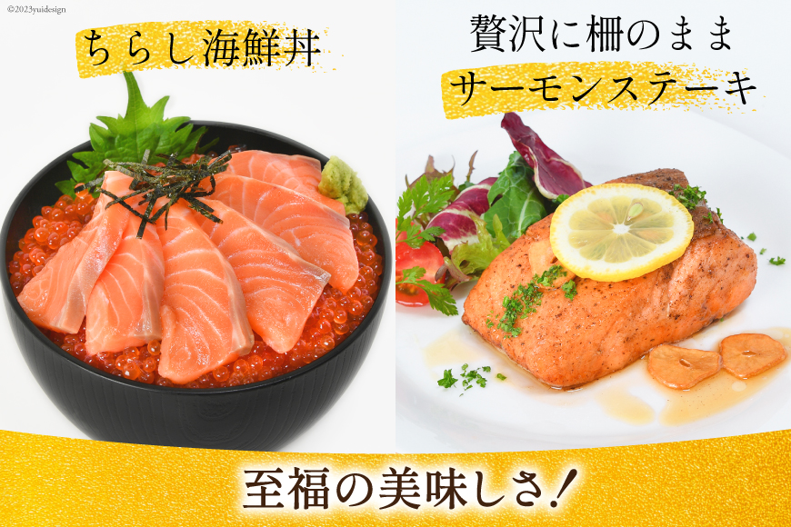 宮城県気仙沼市のふるさと納税 ノルウェー産 アトランティックサーモン 総重量 1kg (正味重量850g) [カネダイ 宮城県 気仙沼市 20565509] 魚 魚介類 サーモン 刺身 アトランティック アトラン 小分け 冷凍 鮭 さけ 訳あり ノルウェー