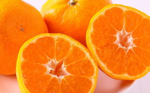 【訳あり・ご家庭用】和歌山由良町産のみかん約5kg
※2025年11月中旬～12月下旬頃に順次発送予定