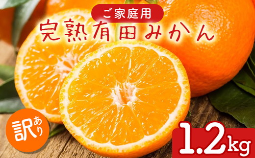【先行予約】【数量限定】濃厚有田みかん(ご家庭用) 1.2kg(1kg+200g(傷み補償分))