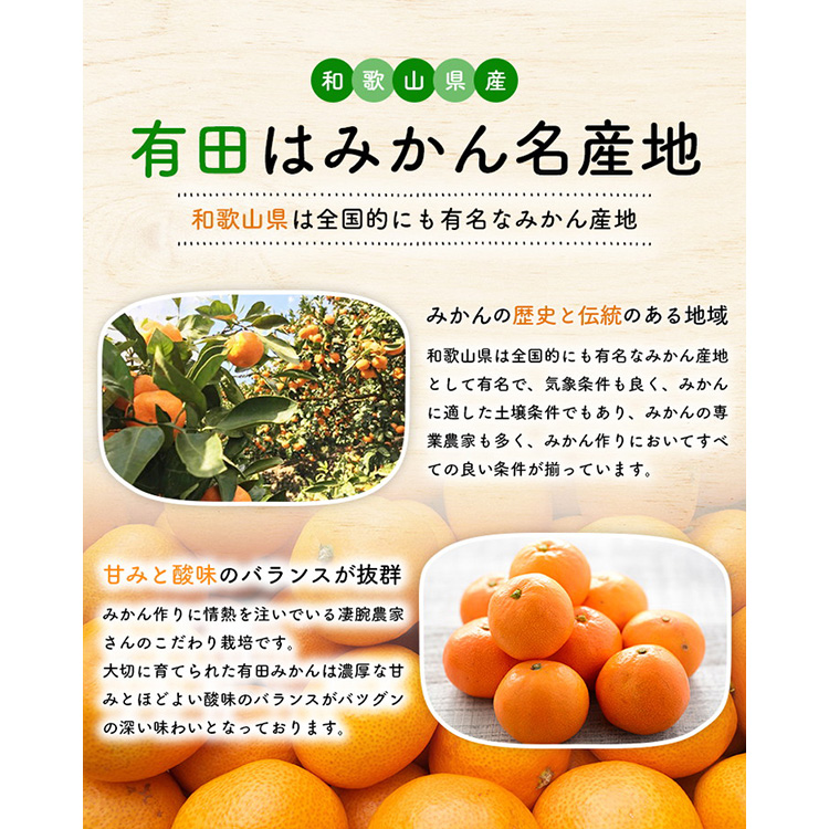 【先行予約】【数量限定】濃厚有田みかん(ご家庭用) 10.2kg(10kg+200g(傷み補償分))