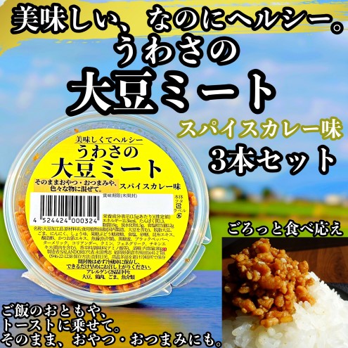 大豆 加工品 うわさの大豆ミート スパイスカレー味 80g×3本 セット 健康 ヘルシー 