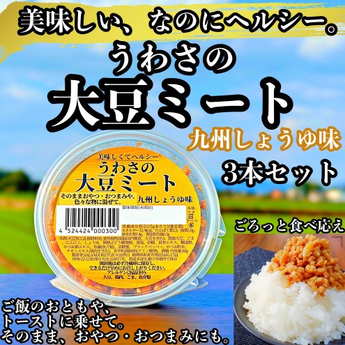 大豆 加工品 うわさの大豆ミート 九州しょうゆ味 80g×3本 セット 健康 ヘルシー 