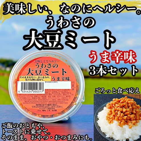 大豆 加工品 うわさの大豆ミート うま辛味 80g×3本 セット 健康 ヘルシー 