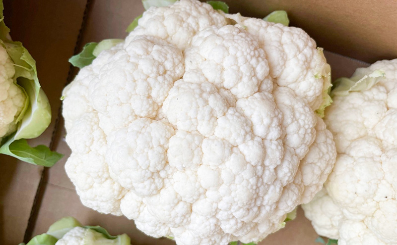 令和8年産】しんや農園のつよい野菜「ブロッコリー6個 & カリフラワー4