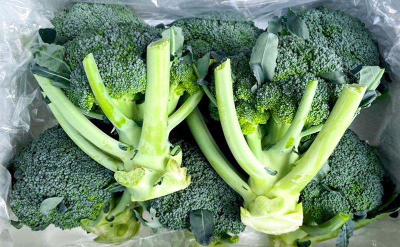 令和8年産】しんや農園のつよい野菜「ブロッコリー6個 & カリフラワー4