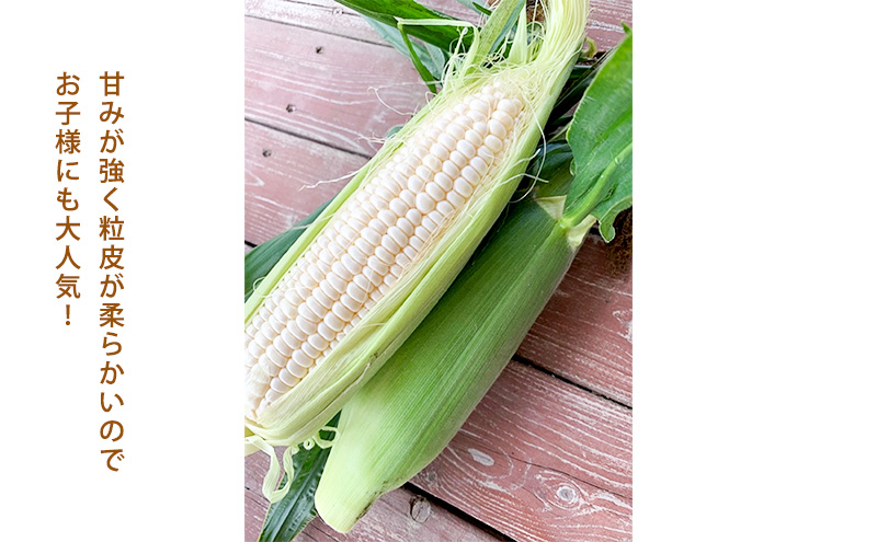 スイートコーン「ゴールドラッシュ ＆ 雪の妖精」各5本ずつ合計