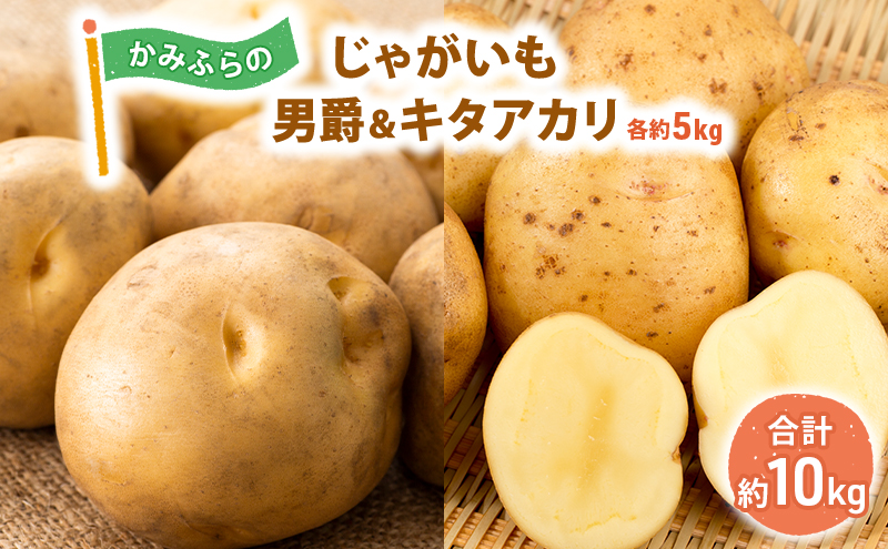 かみふらのじゃがいも「男爵 ＆ キタアカリ」各5kg 野菜