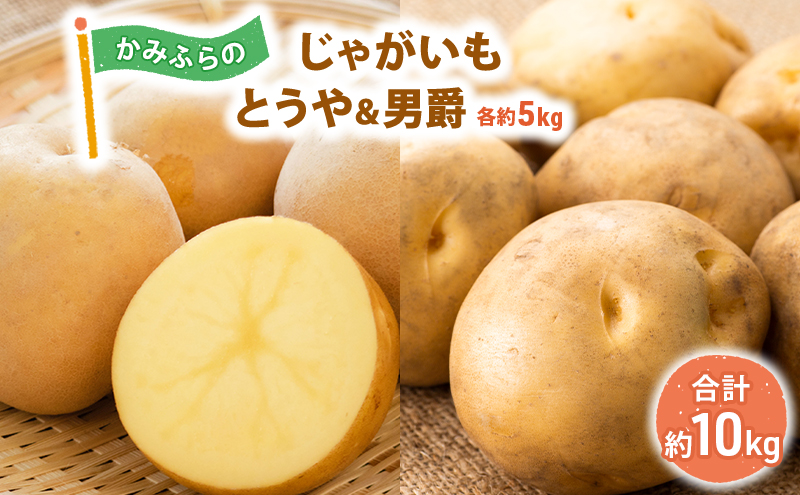 じゃがいも L_600g_80f6ffcb-0a1d-4cd1-a659