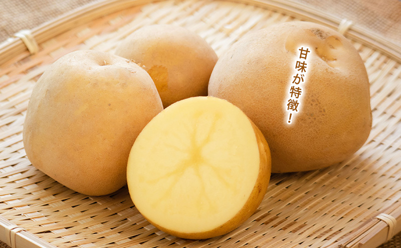 令和8年産】しんや農園のじゃがいも「とうや5kg & 男爵5kg」 計10kg