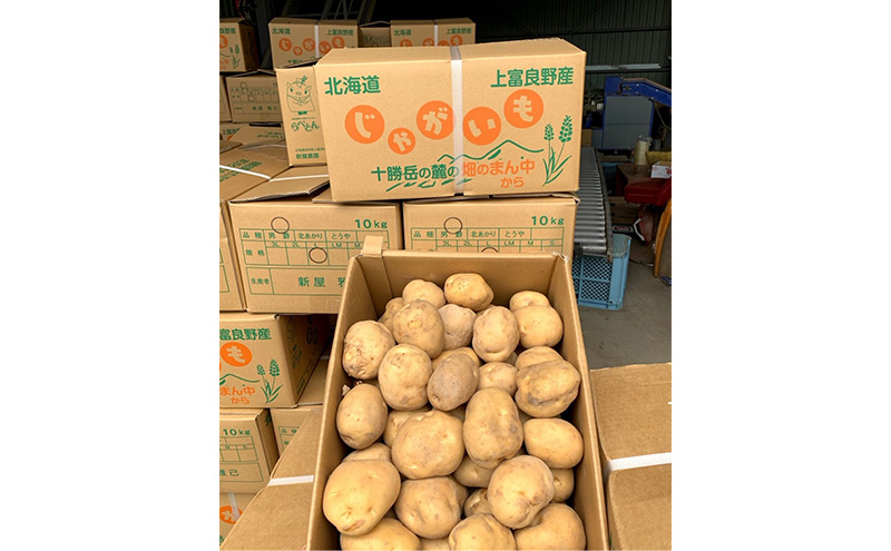 令和8年産】かみふらのじゃがいも「とうや5kg & 男爵5kg」 野菜 旬の