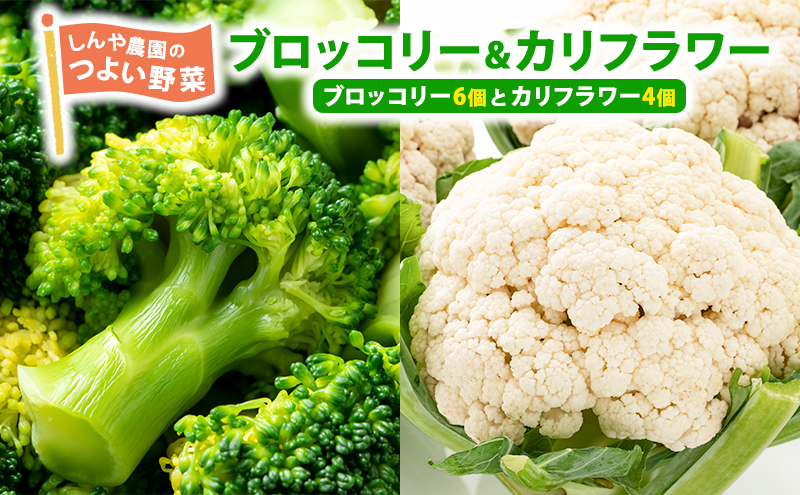 令和8年産】しんや農園のつよい野菜「ブロッコリー6個 & カリフラワー4