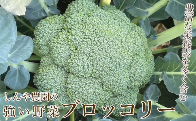 令和8年産】しんや農園のつよい野菜「ブロッコリー6個 & カリフラワー4