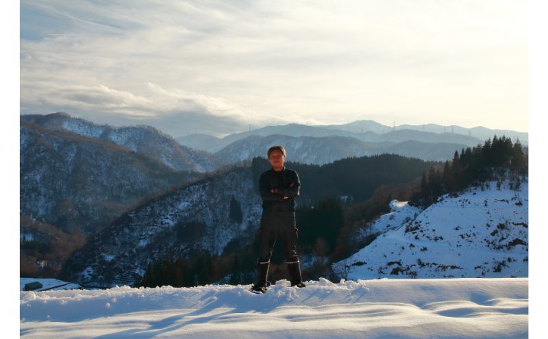 【12カ月定期便】新潟米新之助（精米）5kg お米 コメ 