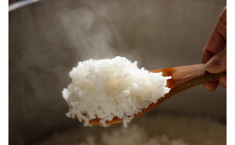 【6カ月定期便】新潟米新之助（精米）2kg お米 コメ 