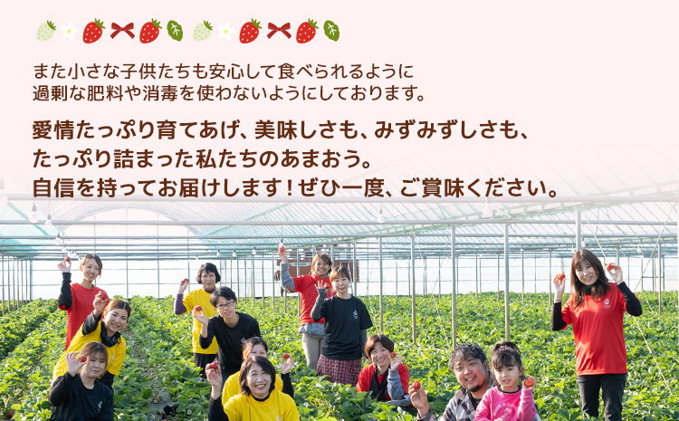 福岡県大木町のふるさと納税 ジャム用あまおう1kg ※2026年2月中旬～5月10日頃にかけて順次出荷予定 BD08