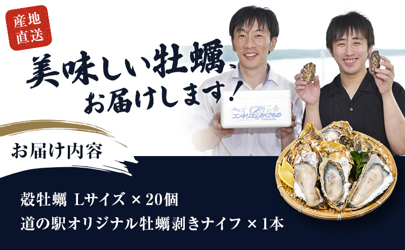 厚岸産 殻牡蠣 Lサイズ 20個 セットカキ 牡蠣 魚介類 送料無料 新鮮 濃厚 大粒 マルえもん メルマガ掲載商品2 