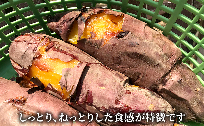 干し焼き芋　8袋入り 約1.4kg さつまいも 加工食品 乾物 野菜 サツマイモ ドライフルーツ 紅はるか スイーツ