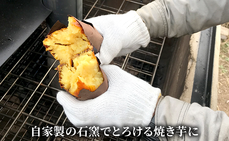 干し焼き芋　8袋入り 約1.4kg さつまいも 加工食品 乾物 野菜 サツマイモ ドライフルーツ 紅はるか スイーツ