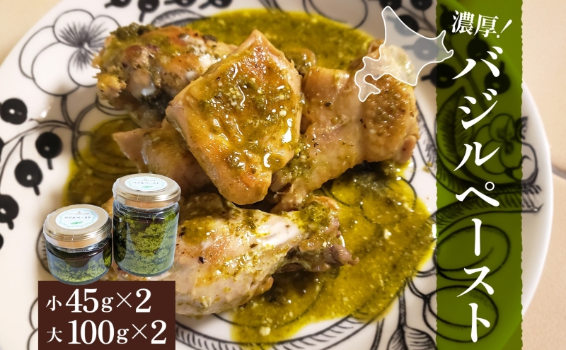 �y�k�C�����`���z�k�C�� �o�W�� �y�[�X�g 100g×2�� 45g×2�� �v4�� 2026�N7�����{���甭�� �n�[�u �I���[�u�I�C�� ���Y ������ �\�[�X �C�^���A���� �p�X�^ �s�U �h���b�V���O �W�F�m�x�[�[ ��y �ȒP �ۑ��H �r�l �r �M�t�g