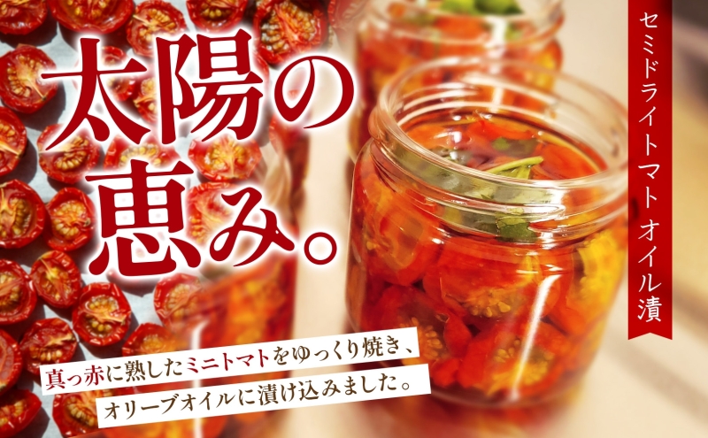 北海道 野菜 瓶詰め 2種 セット〈大〉バジル ペースト 100g セミドライ トマト オイル漬け 95g 各1個 計2個  2026年8月上旬から発送 ハーブ オリーブオイル 乾燥野菜 国産 パスタ ピザ バケット 保存食 ギフト 瓶 