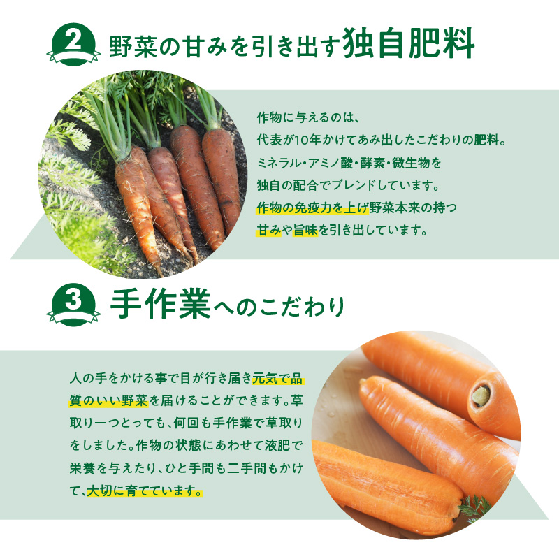 愛知県碧南市のふるさと納税 ＜フジテレビ『どっちのふるさと？』で紹介されました！＞ 訳あり 冬期限定 にんじん マドンナキャロット 容量 7kg 先行予約 国産 甘い フルーツのような味わい お子様にもおすすめ 栄養 神重農産 野菜 愛知県 碧南市 送料無料 H105-135