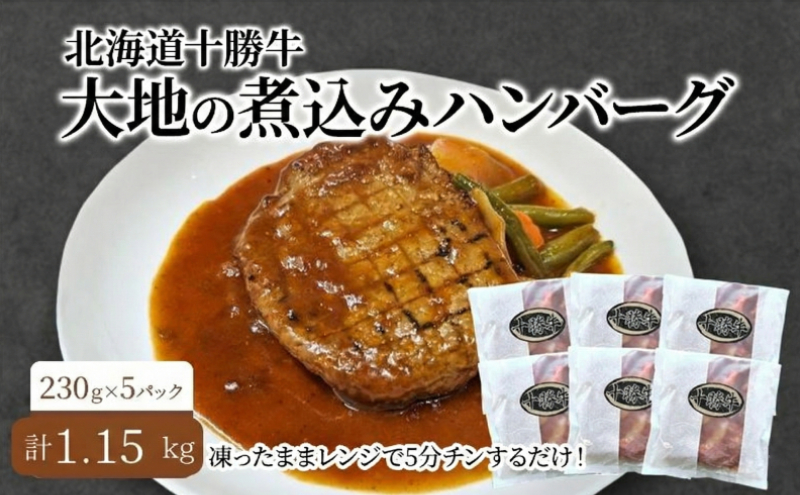 北海道 十勝牛 大地の煮込みハンバーグ230g×5パック 野菜入り お手軽レンチン【 セット 牛100% 国産牛 牛肉 ハンバーグ 惣菜 小分け 冷凍 牛肉100% 大きい レンジ 簡単 国産 北海道 十勝 幕別 ふるさと納税 送料無料 】 