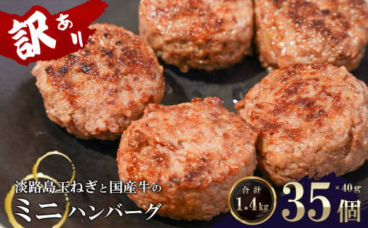 訳アリ 淡路島玉ねぎと国産牛のミニハンバー