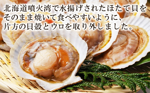 北海道鹿部町のふるさと納税 【北海道産】 ハーフシェル ほたて片貝 1袋 650g (10枚前後) ウロ取り済み バラ冷凍 加熱調理用 ほたて ホタテ 帆立