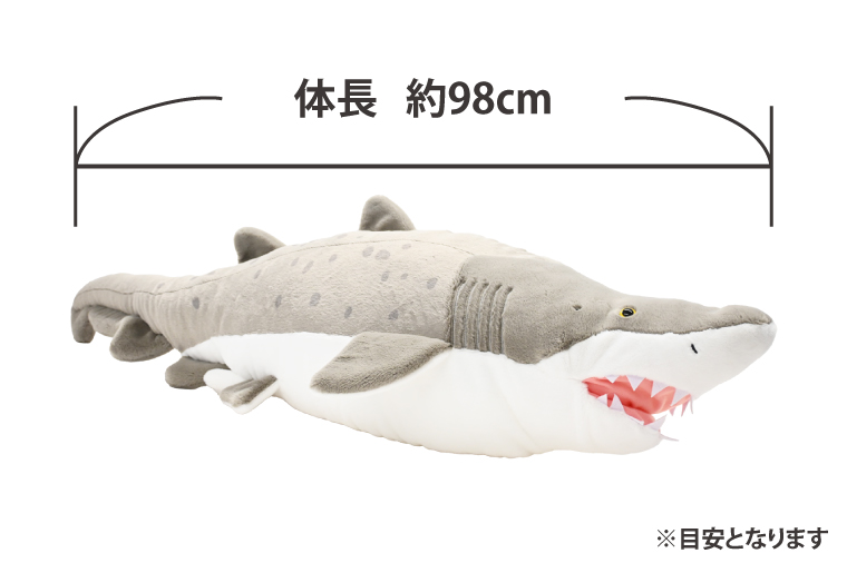ぬいぐるみ オリジナル シロワニ オス 1体 アクアワールド 大洗