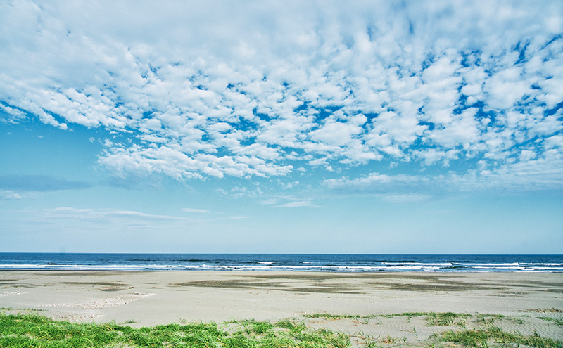 宿泊券 関東 千葉 ジェリーズランチトレーラーハウス 4名様 2泊3日 一棟貸し ペットと泊まる 旅行 トレーラーハウス 宿泊 旅行券 トラベル クーポン ホテル券 ギフト券 ギフト チケット ホテル 旅館 千葉県 九十九里町 九十九里