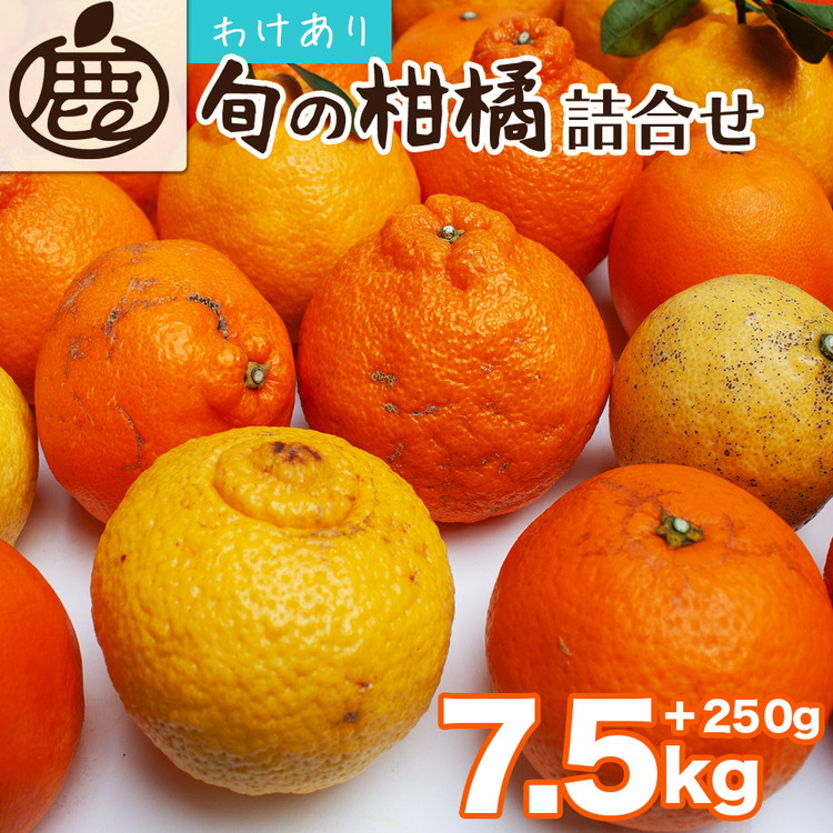 ＜1月より発送＞家庭用 柑橘詰合せ7.5kg+250g（傷み補償分）◇【訳あり・わけあり】【有田の春みかん詰め合わせ・フルーツ詰め合せ・オレンジつめあわせ】【光センサー選別】 ※北海道・沖縄・離島への配送不可 ※2026年1月上旬～4月下旬頃に順次発送予定