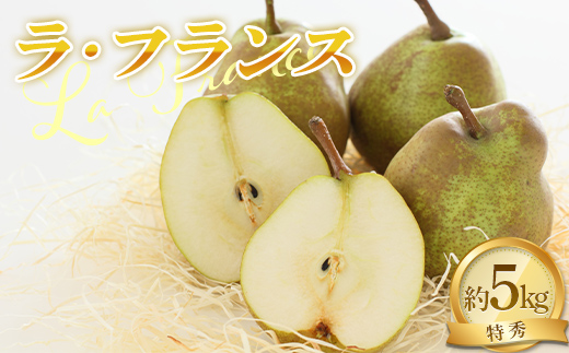 [令和8年産先行予約] ラ・フランス 約5kg (14〜16玉 特秀 3〜4L) [令和8年11月中旬〜発送] 『NOWAフルーツ』 ラフランス 西洋梨 洋なし 果物 フルーツ [2065-R8]