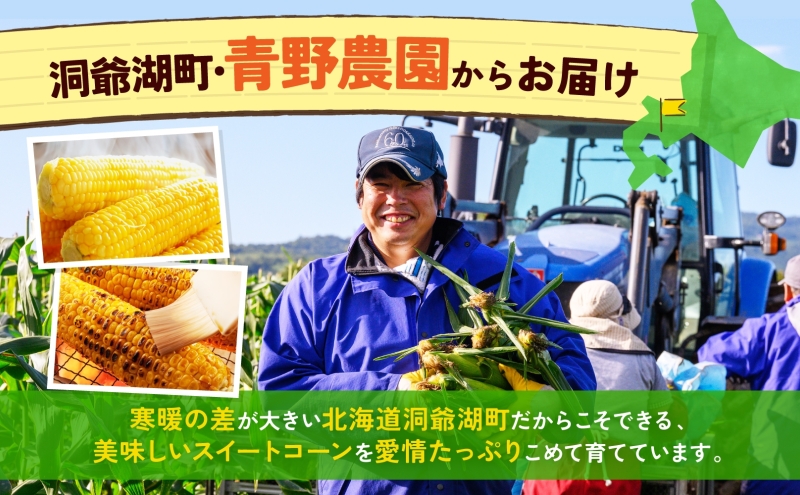 新鮮　北海道産初物　春とうもろこし2Lサイズ　20kg　ハウス栽培 ふるさと納税 「【 2025年 先行予約 】 北海道産 とうもろこし