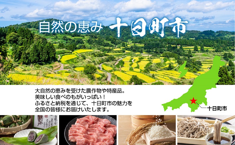 熨斗 笹だんご つぶあん 5個 × 4袋 計20個 セット 冷凍 笹団子 新潟県 銘菓 お土産 餅 和菓子 もち だんご 着色料不使用 国産原料 ギフト お取り寄せ 無地熨斗 のし 新川屋 十日町市 