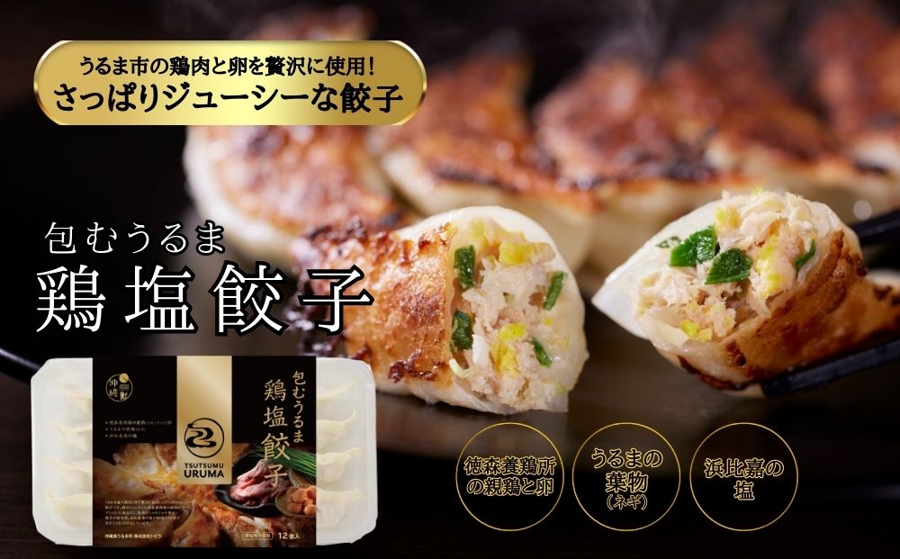 包むうるま餃子 3種セット（島餃子・鶏塩餃子・チャンプルー餃子）