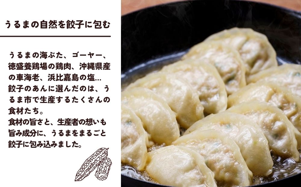 包むうるま餃子 3種セット（島餃子・鶏塩餃子・チャンプルー餃子）