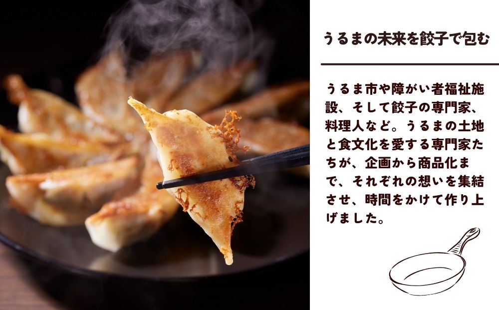 包むうるま餃子 3種セット（島餃子・鶏塩餃子・チャンプルー餃子）