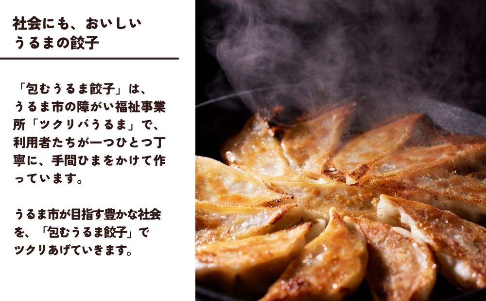 包むうるま餃子 3種セット（島餃子・鶏塩餃子・チャンプルー餃子）