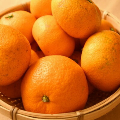 ZD92062_【家庭用】有田ブランド 賢みかん 10kg（S～Lサイズおまかせ）