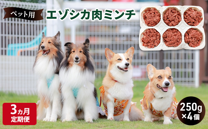 3ヵ月定期便 ペットのおやつ【エゾシカ肉のミンチ】250g×4 南富フーズ株式会社 鹿肉 ジビエ 餌 犬 猫 鹿 ペット 健康 無添加 肉 北海道 南富良野町 エゾシカ 